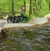 29 Mai 2005