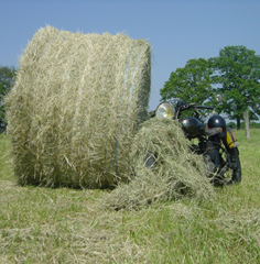 29 Mai 2005