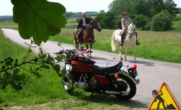 Petits tours pour aller aux photos