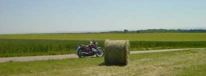 Evidemment, sur la route de Damas